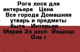 Рога лося для интерьера › Цена ­ 3 300 - Все города Домашняя утварь и предметы быта » Интерьер   . Марий Эл респ.,Йошкар-Ола г.